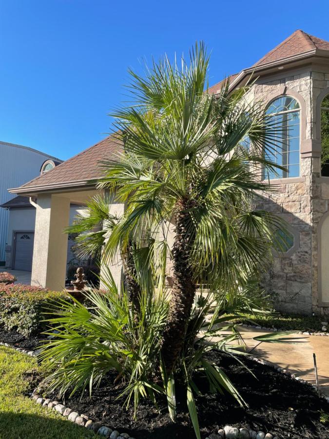 Вилла Luxuria Mini-Mansion Near Houston Downtown Экстерьер фото